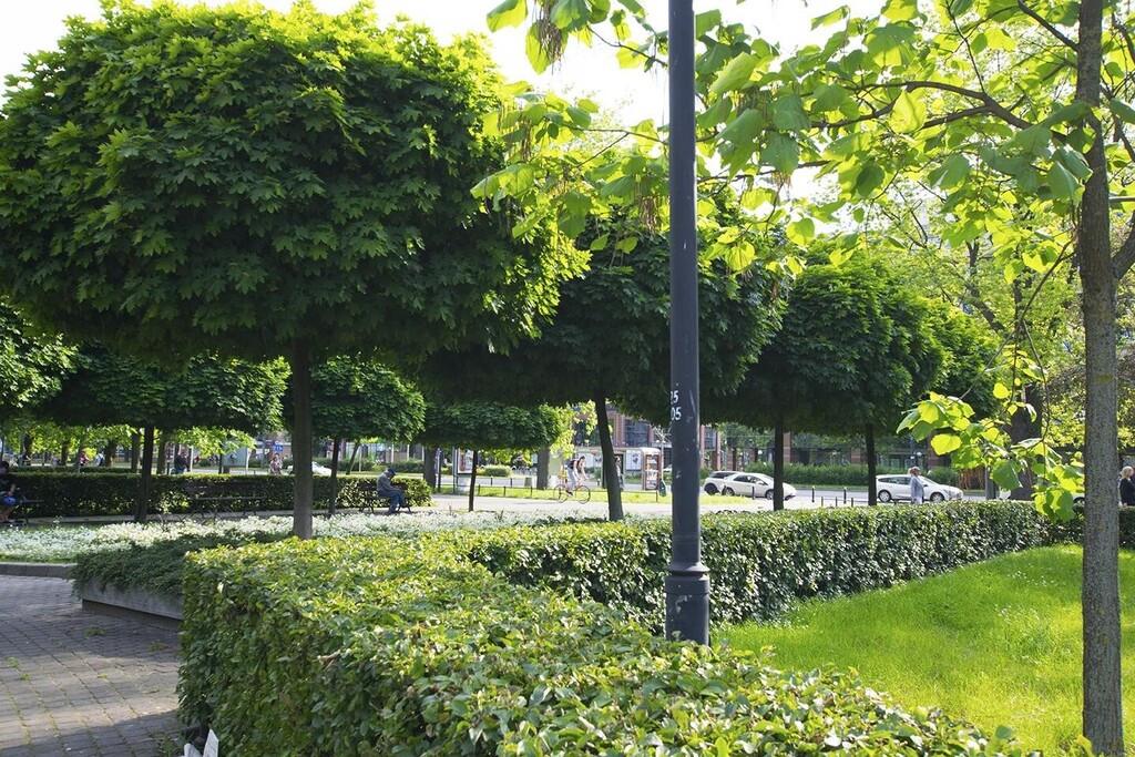 Mieszkanie Wynajem Warszawa Śródmieście Grzybowska