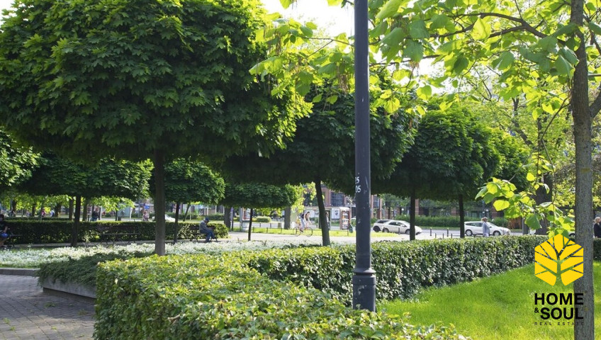 Mieszkanie Wynajem Warszawa Śródmieście Grzybowska