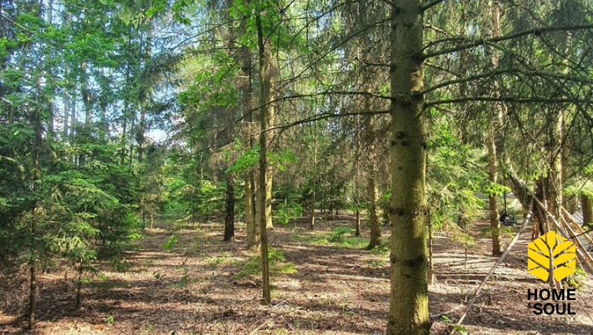 Działka Sprzedaż Sulejówek Szklarniowa